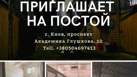 Постой на Киевском ипподроме в КСК “Молода країна”