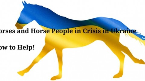 Help Ukrainian Horses with your contribution