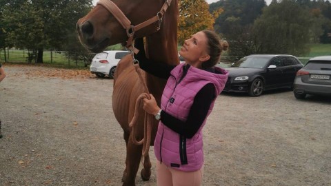 Today Amigo arrived to new home and his beautiful owner in Switzerland