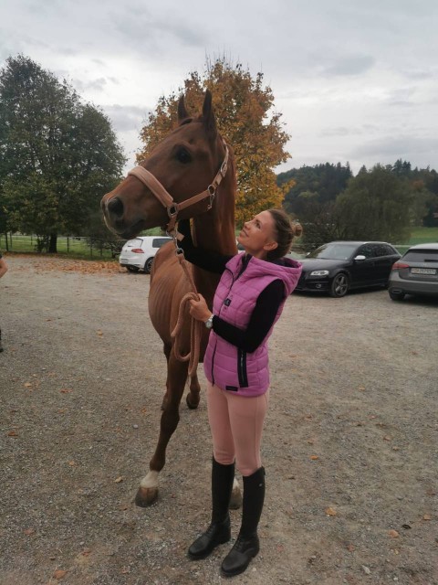 Today Amigo arrived to new home and his beautiful owner in Switzerland