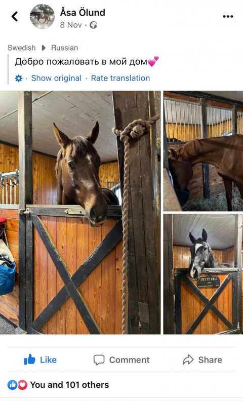 Seven more horses arrived from Ukraine to Sweden today