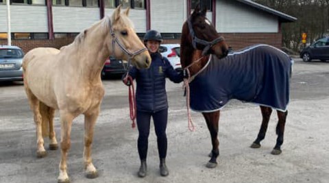 Bela and Yal, two stars who also arrived to their new home in Sweden today