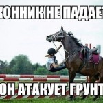 _zjj26krzig