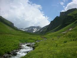 images-11