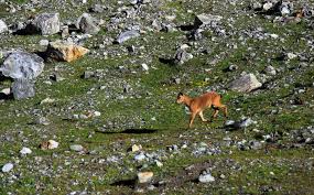 images-8