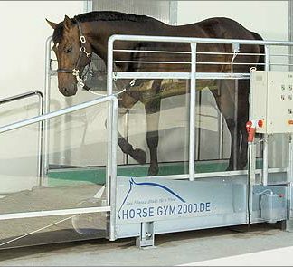 Беговая дорожка Horse Gym 2000 S3