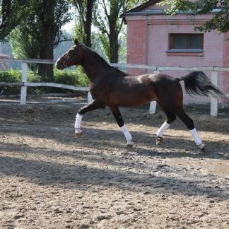 ПРОДАНО! Базис 07