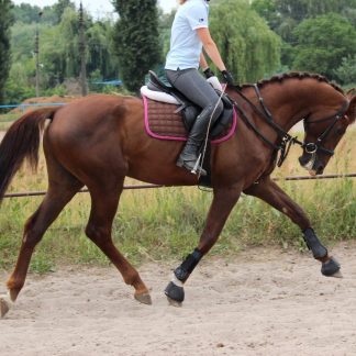 ПРОДАНО! Вифинг 06