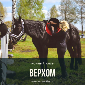 Конный клуб "Верхом"