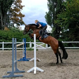 ПРОДАНА! Клеопатра 12