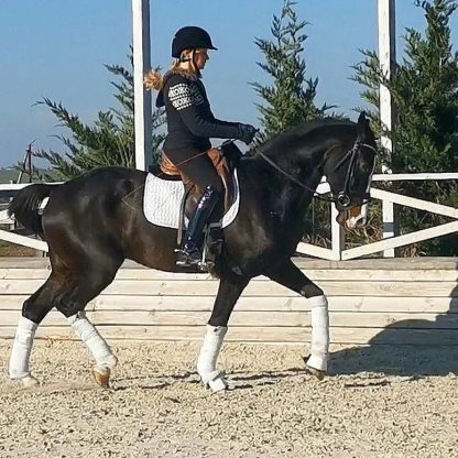ПРОДАН! Скайфол 16 - Зображення 4