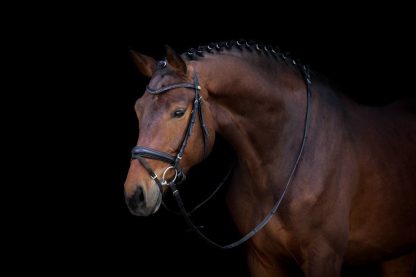 SOLD! Dream of Hohenseeden 12 - Зображення 4