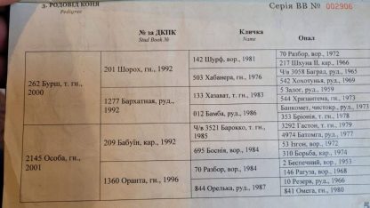 SOLD! Opal 14 - Зображення 5