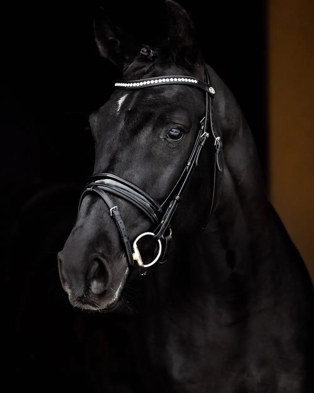 SOLD! Flagman 19 - Image 5