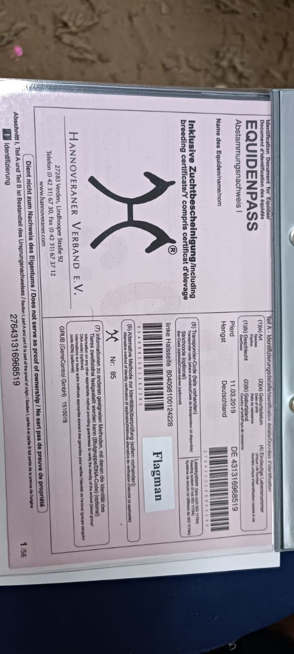 SOLD! Flagman 19 - Image 4