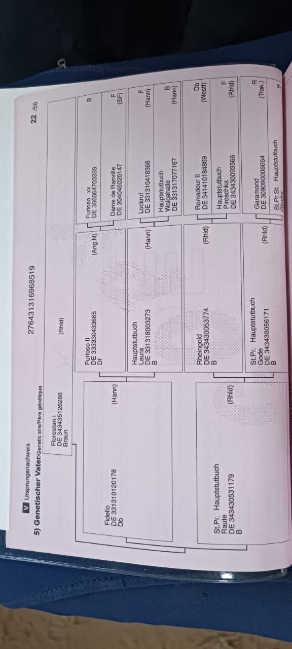 SOLD! Flagman 19 - Image 3