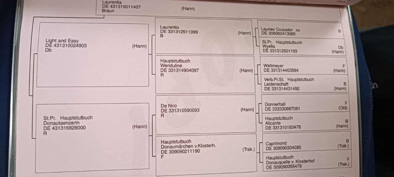 SOLD! Flagman 19 - Image 2