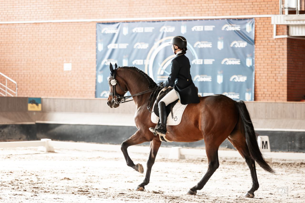 El Scandic U14 - Image 2