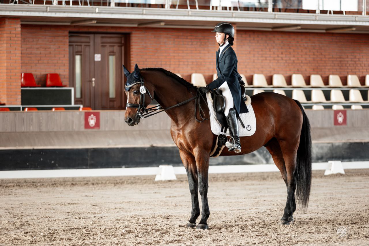 El Scandic U14 - Image 3