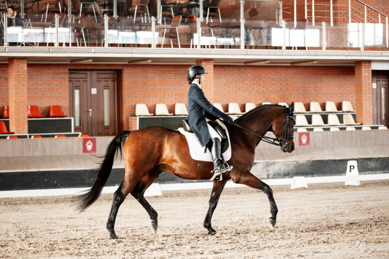 El Scandic U14 - Image 4