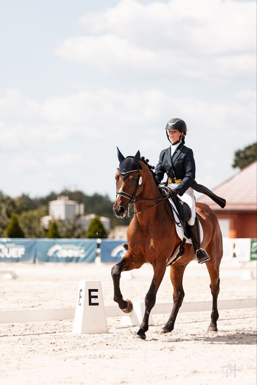 El Scandic U14 - Image 6