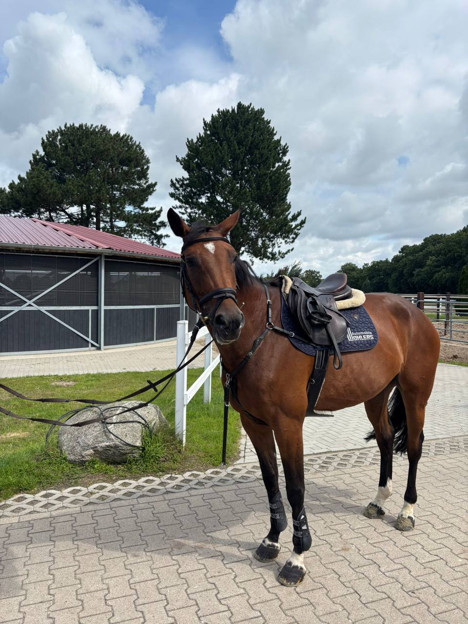 Karla 78 17 - Image 2