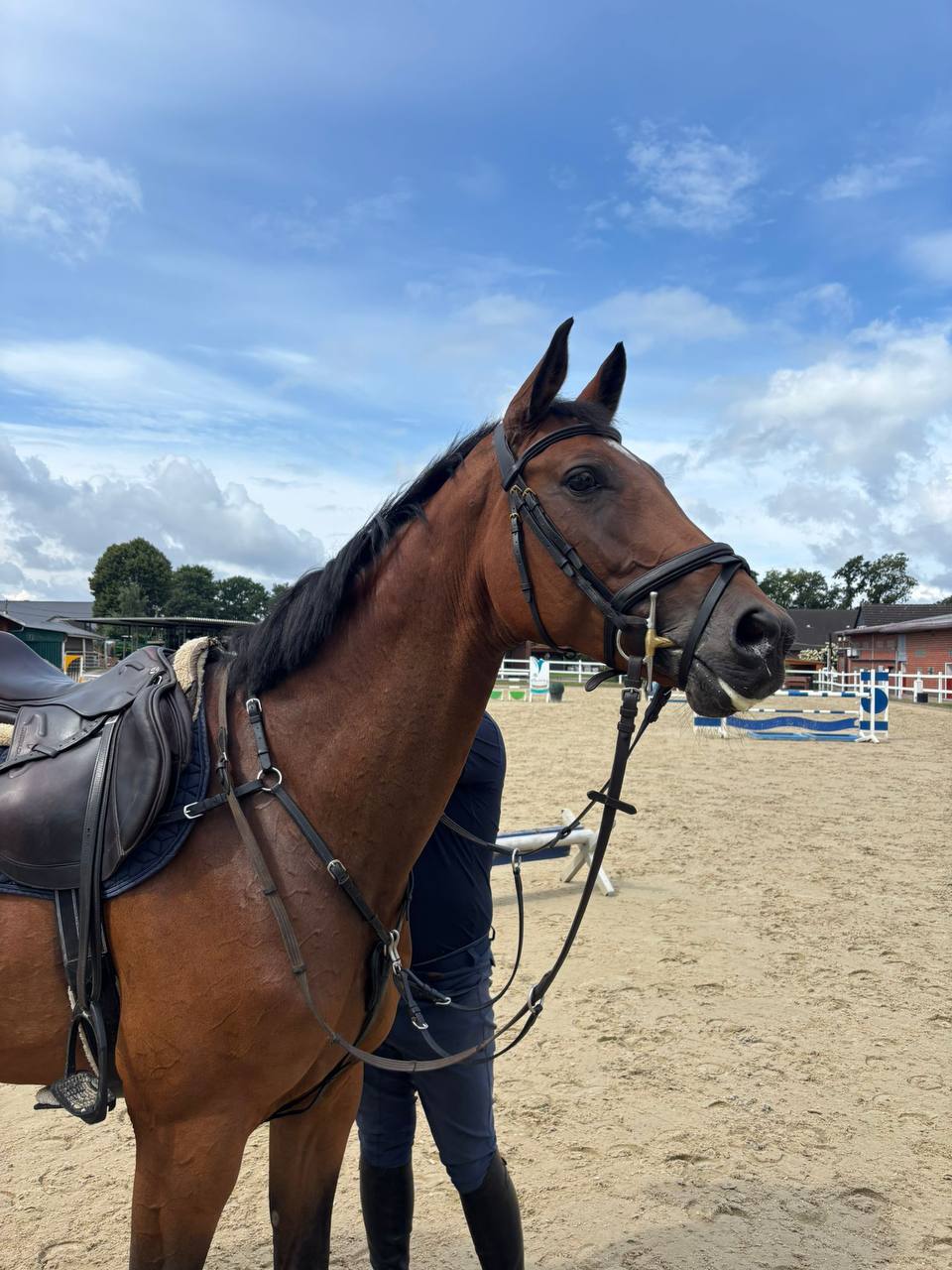 Karla 78 17 - Image 3