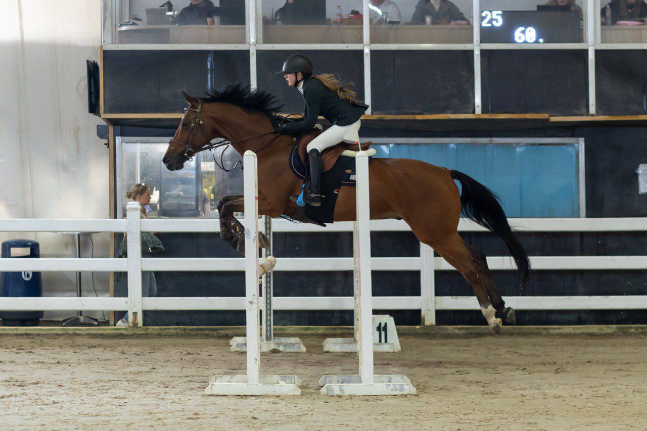 Quanta Questa 08 - Image 2