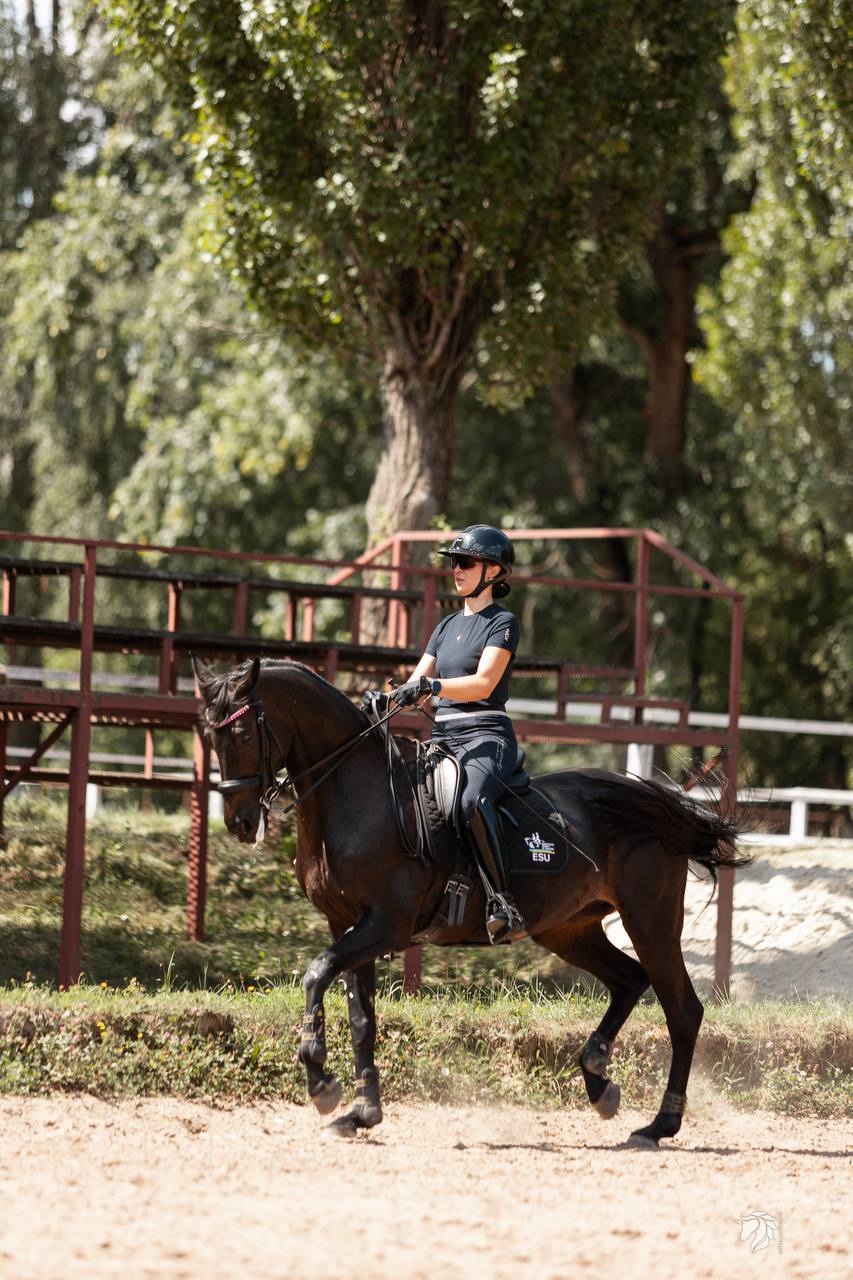 Habira 13 - Image 13