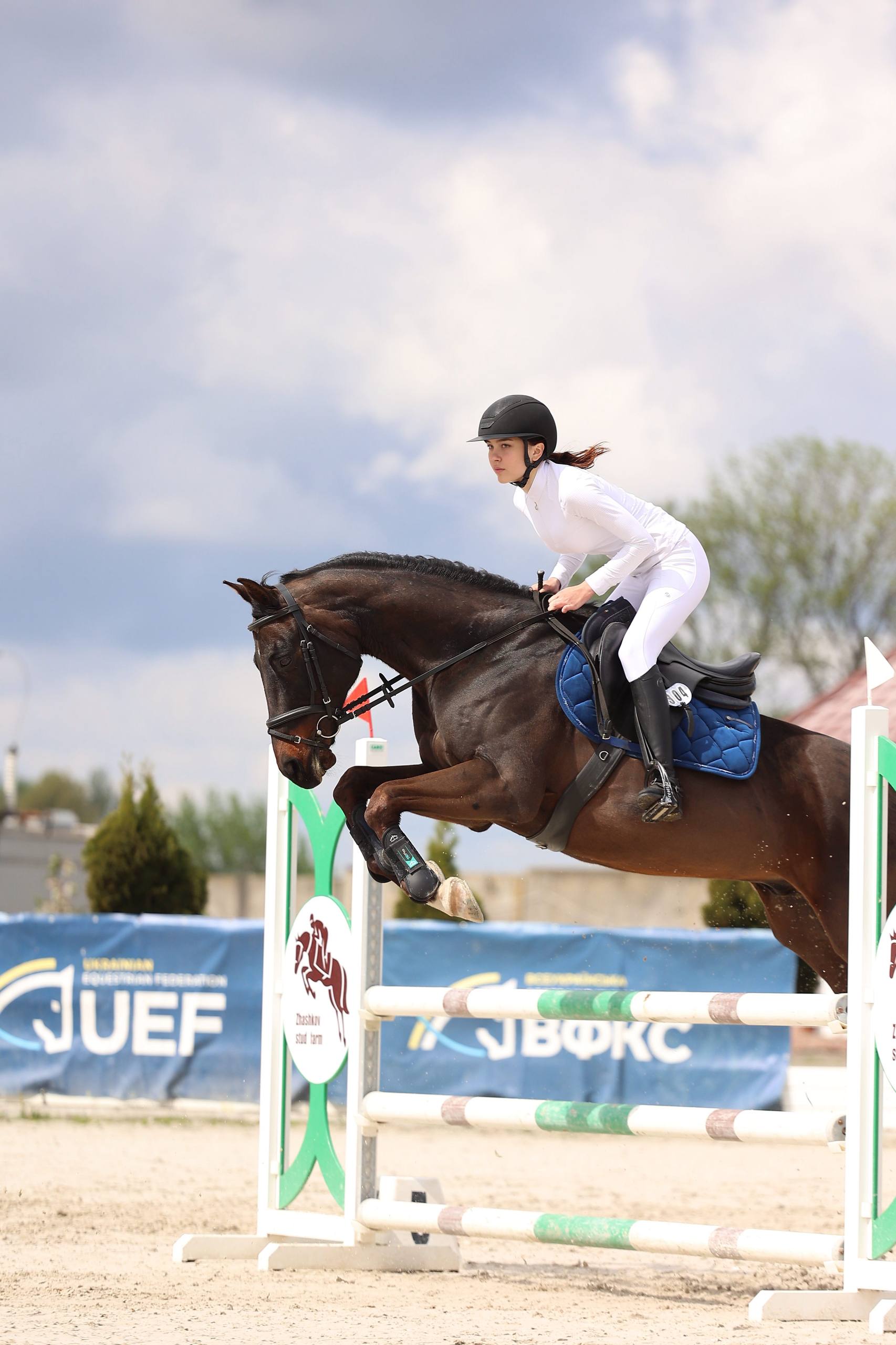 Night Fury 11 - Image 2