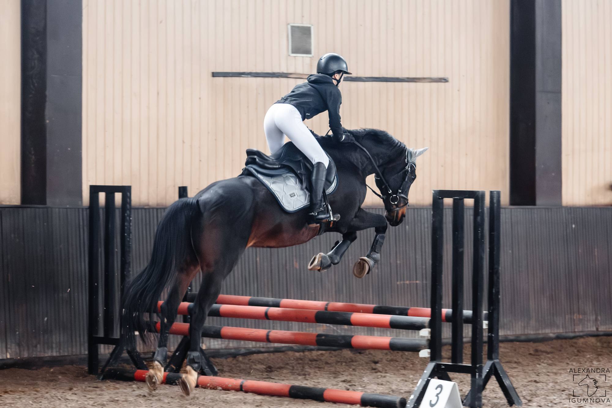 Night Fury 11 - Image 3