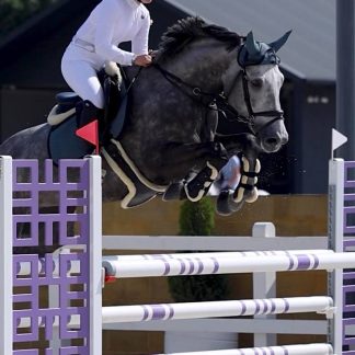 Comme On Legends DP 19