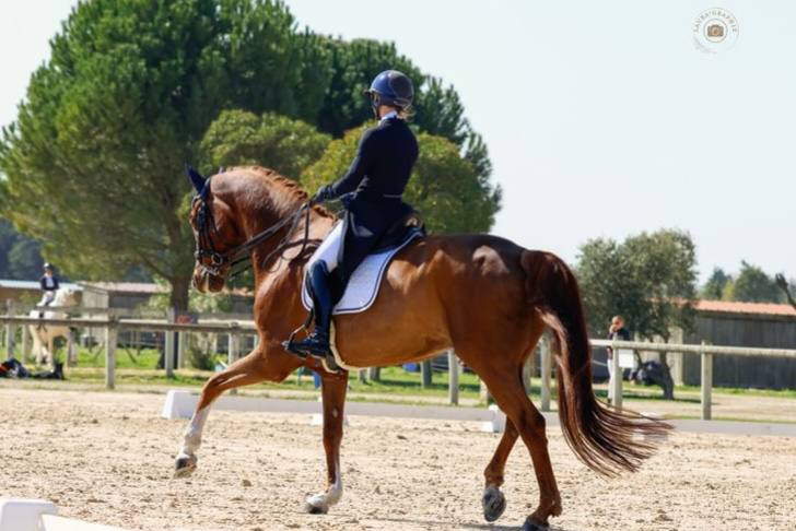 Dinaris 15 - Image 3