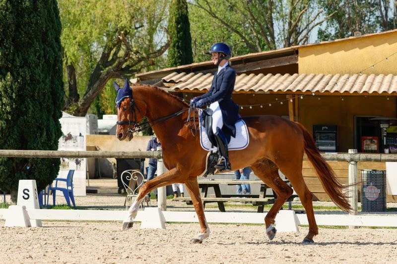 Dinaris 15 - Image 6