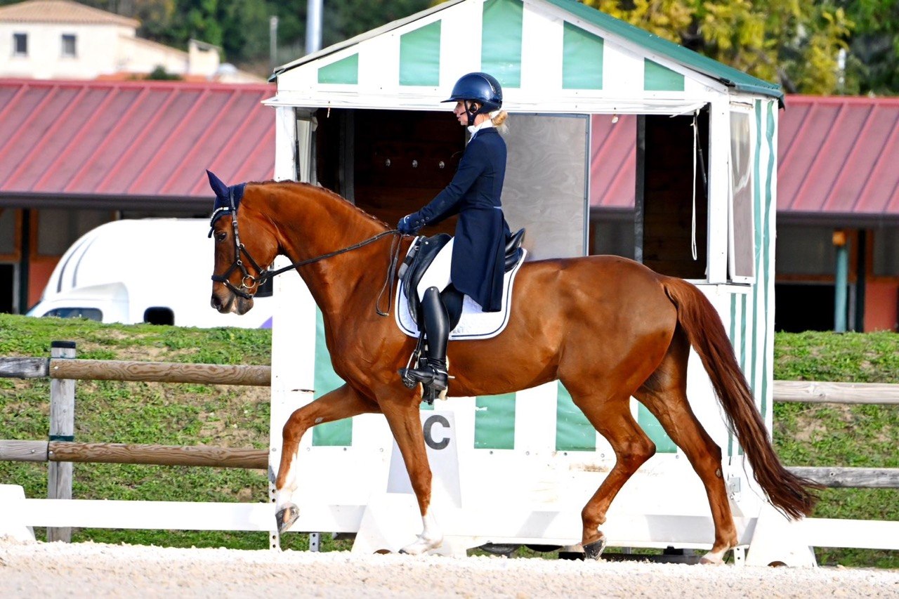 Dinaris 15 - Image 7