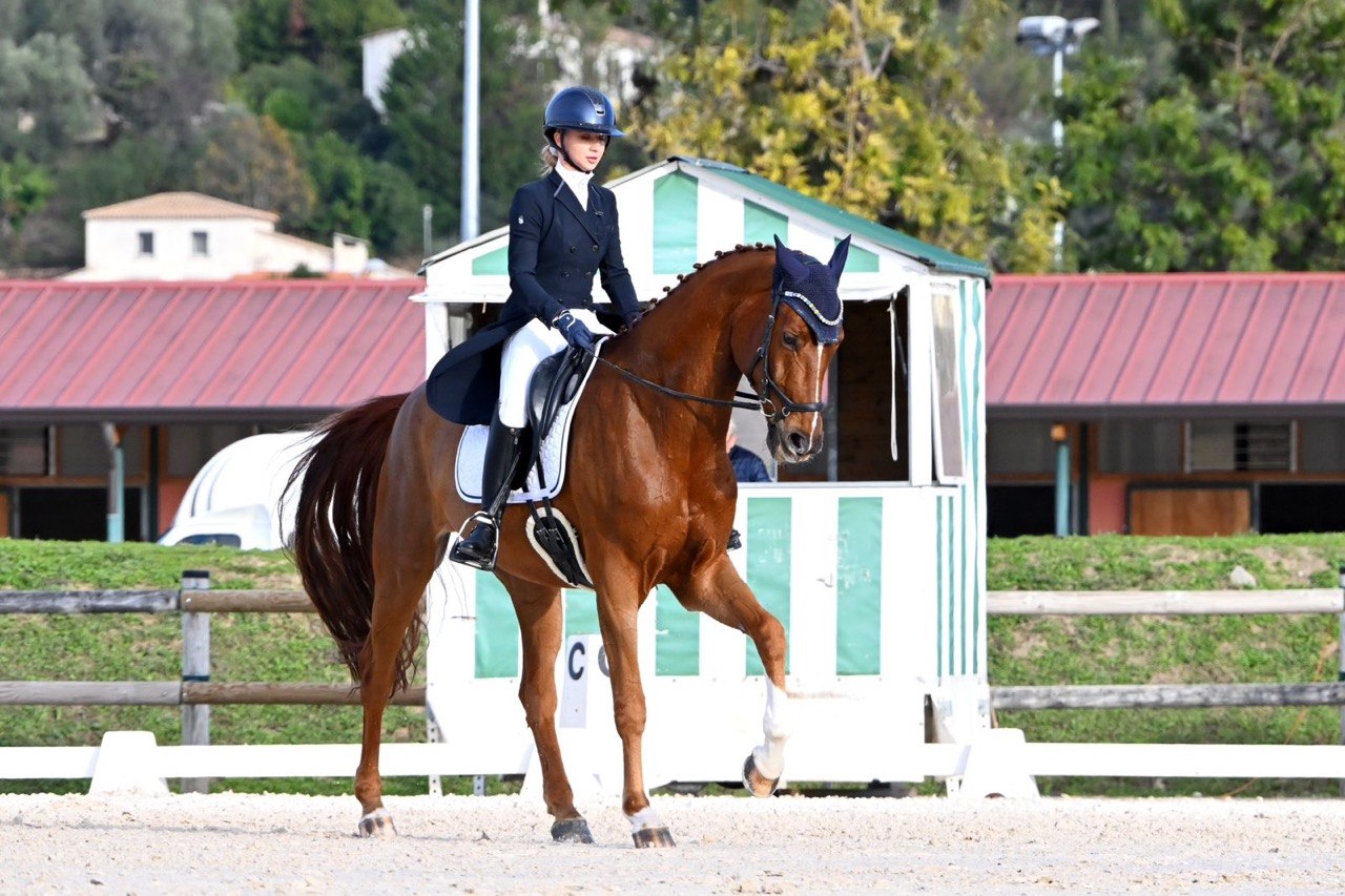 Dinaris 15 - Image 8