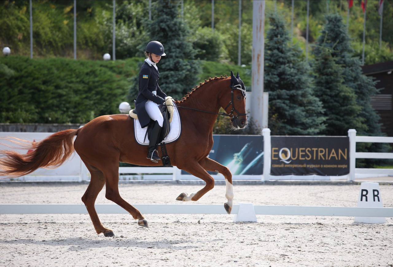 Dinaris 15 - Image 9