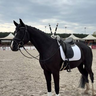 Nights of Secrets 21