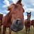 Profile picture of tavidar